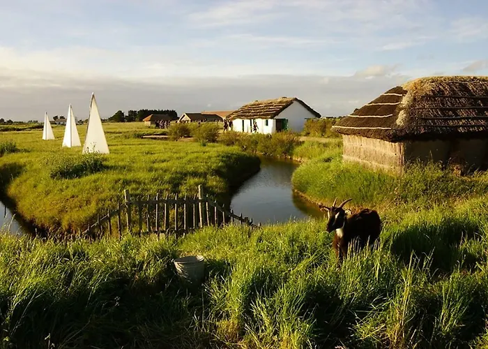 Charmante Maison à 500 M De La Côte, Pour 4 Notre-Dame-de-Monts
